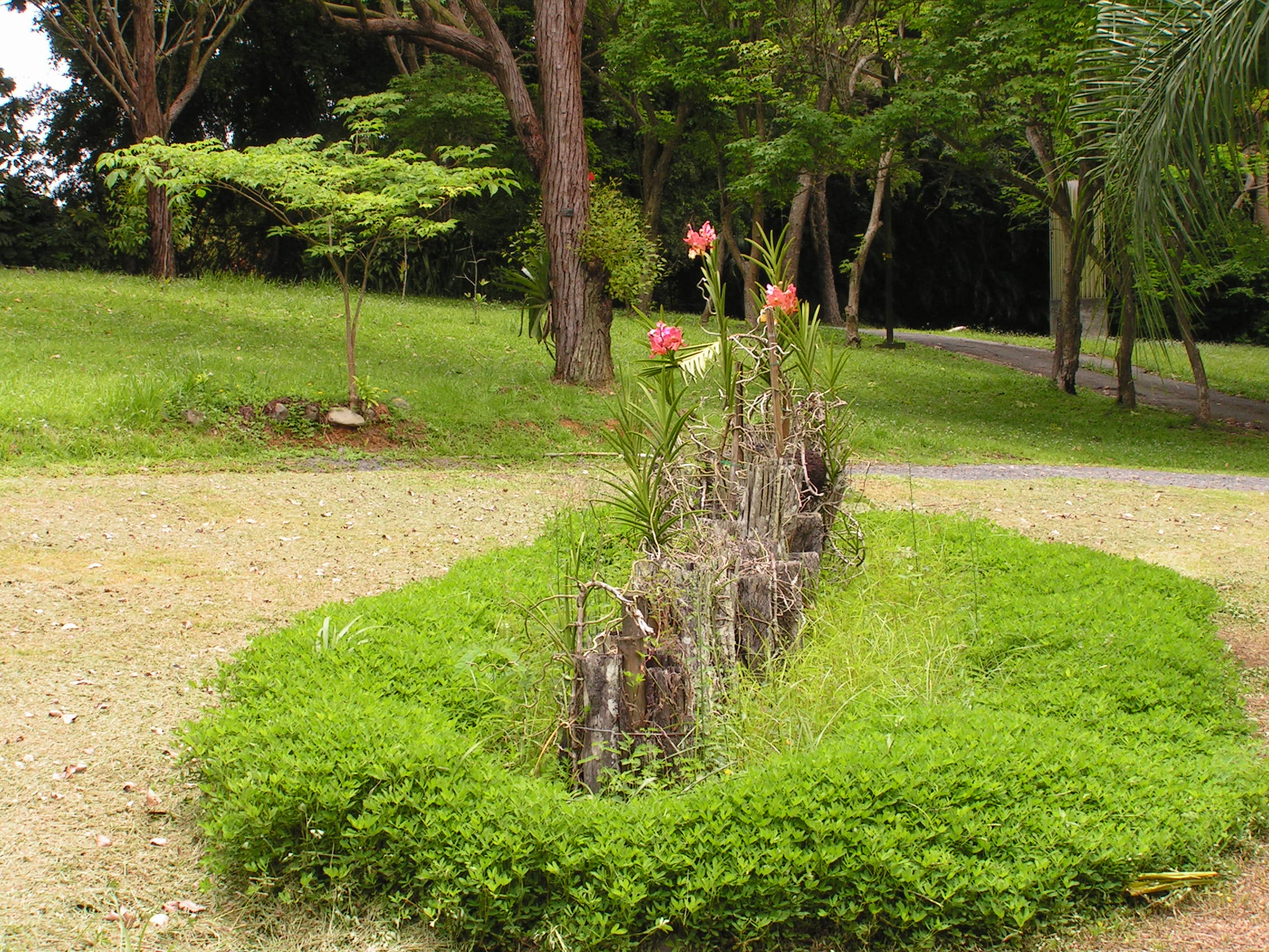 ./2005/Puerto Rico/Part 2/PICT0137.JPG